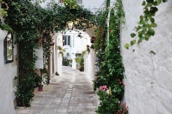 Appartamento Attico Ostuni Esterno foto